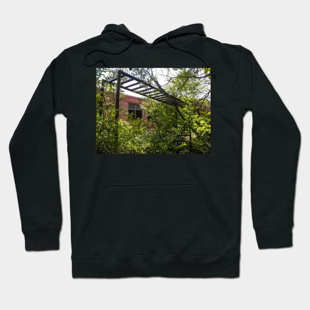 Hand Over Hand Hedges Hoodie by PaulLu